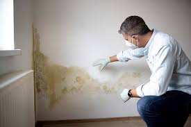 Mold Documentation for Insurance Claims in King City, OR